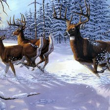 Схема вышивки «№2137563»