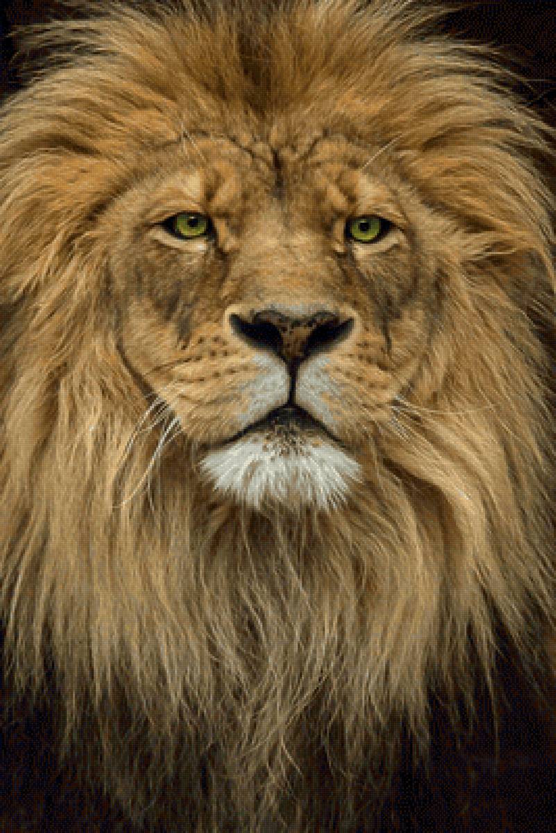 №2137728 - животные, львы, хищники - предпросмотр