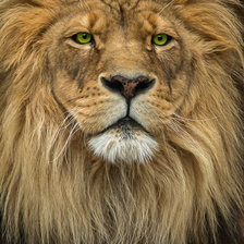 Схема вышивки «№2137728»