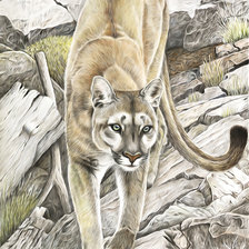 Схема вышивки «№2137745»