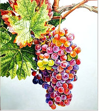 Схема вышивки «№2137780»