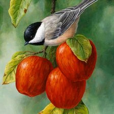 Схема вышивки «№2137846»