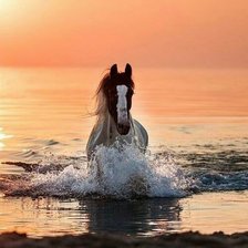 Схема вышивки «№2138109»