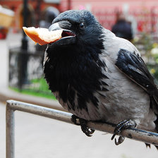 Схема вышивки «Вороне где-то Бог послал кусочек булки.»