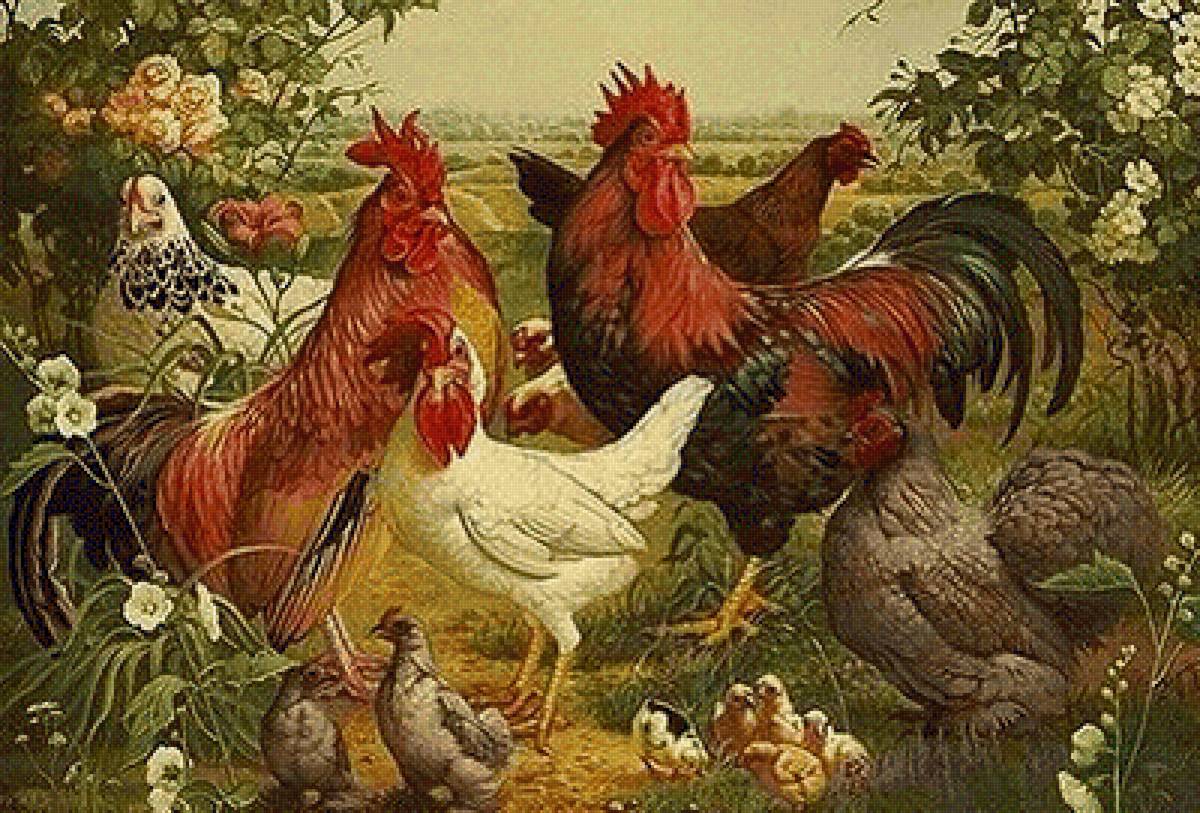 Galinhas ,no jardim - galinhas, jardim - предпросмотр