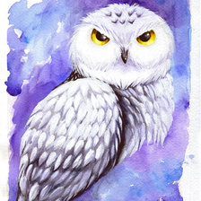 Схема вышивки «Сова»