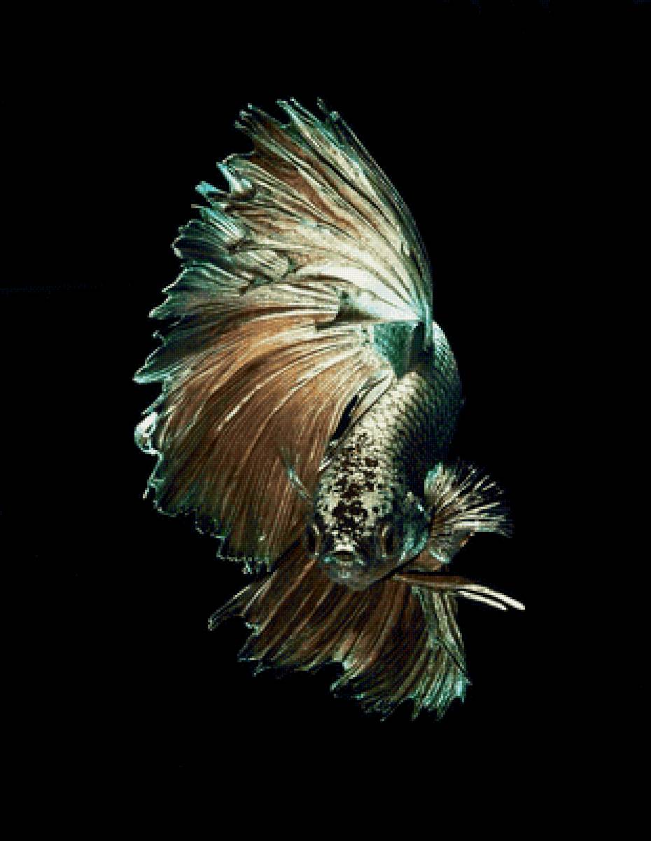 №2138803 - предпросмотр