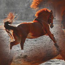 Схема вышивки «рыжая лошадь»