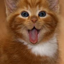 Схема вышивки «№2139377»