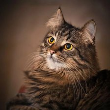 Схема вышивки «№2139386»