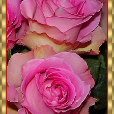 Схема вышивки «Розы»