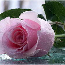 Схема вышивки «Под дождем»