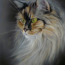 Схема вышивки «№2139723»