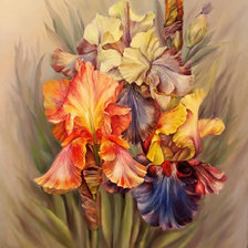 Схема вышивки «Ирисы.»