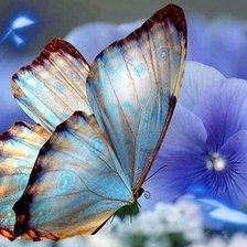 Схема вышивки «№2139821»