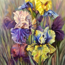 Схема вышивки «Ирисы.»