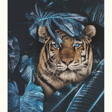 Схема вышивки «№2140190»