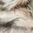 Предпросмотр схемы вышивки «№2140206»