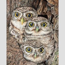 Схема вышивки «№2140206»