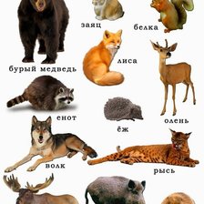 Схема вышивки «№2140350»