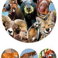 Схема вышивки «№2140354»