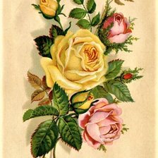 Схема вышивки «№2140371»