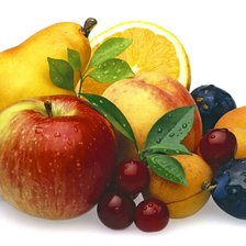 Схема вышивки «№2140517»