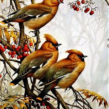 Схема вышивки «№2140540»