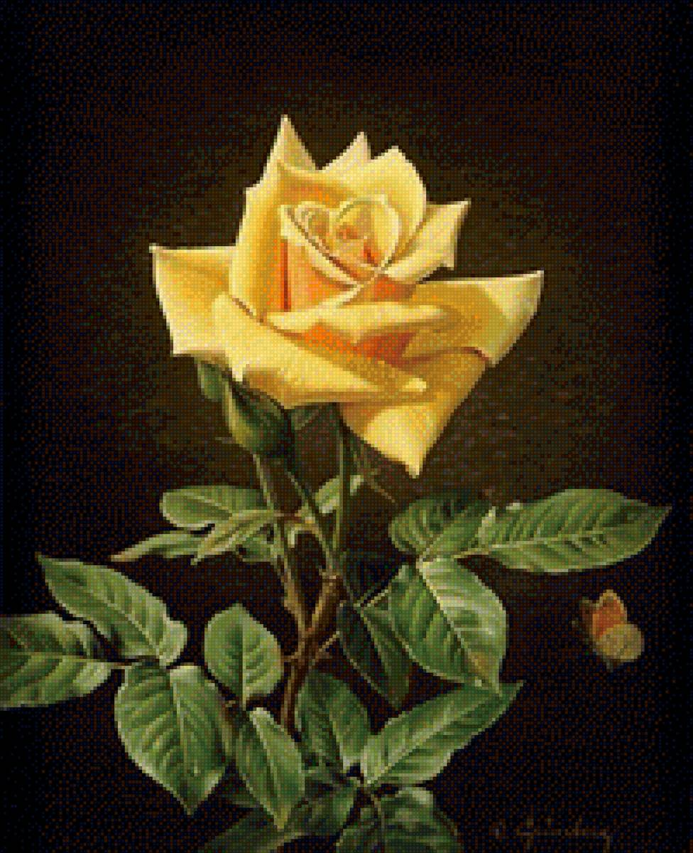 роза - предпросмотр