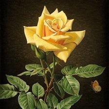 Схема вышивки «роза»