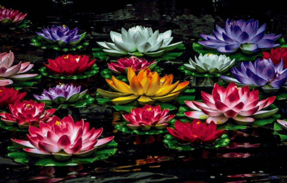 №2140570 - предпросмотр