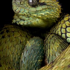 Схема вышивки «Malachite»