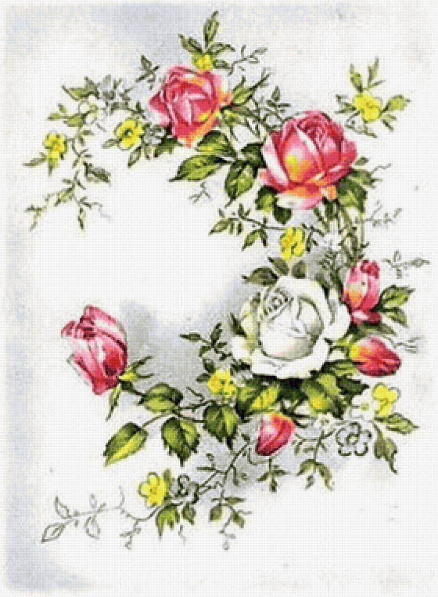 цветы - цветы, розы - предпросмотр