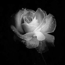 Схема вышивки «№2140873»