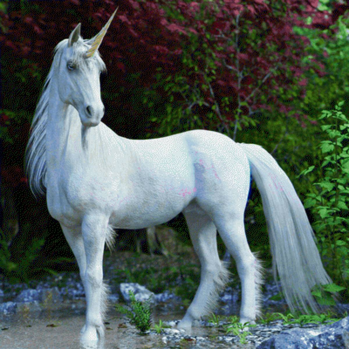 White Horse - animals, unicorn, horse, fantasy - предпросмотр
