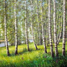 Схема вышивки «Березки»