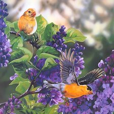 Схема вышивки «№2140973»