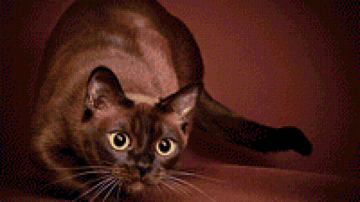 котик-охотник - монохром, сепия, котик - предпросмотр