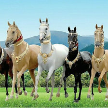 Схема вышивки «лошадки»