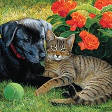 Схема вышивки «№2141139»