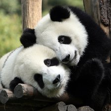 Схема вышивки «панды»