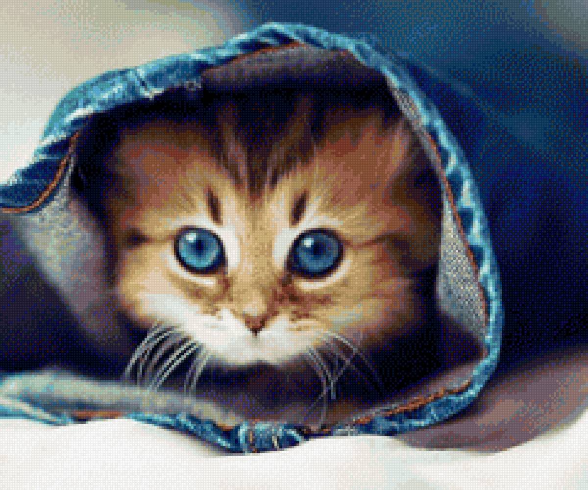 котенок - мордочка, котенок, глаза, рыжий - предпросмотр