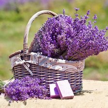 Схема вышивки «Лаванда фаетазийная»