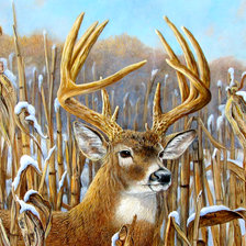 Схема вышивки «олень в зарослях»