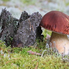 Схема вышивки «Боровичок»