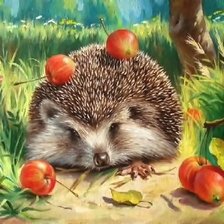 Схема вышивки «ёжик»