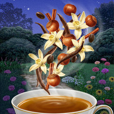 Схема вышивки «напиток»