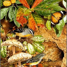 Схема вышивки «Птицы»