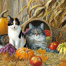 Схема вышивки «№2141884»