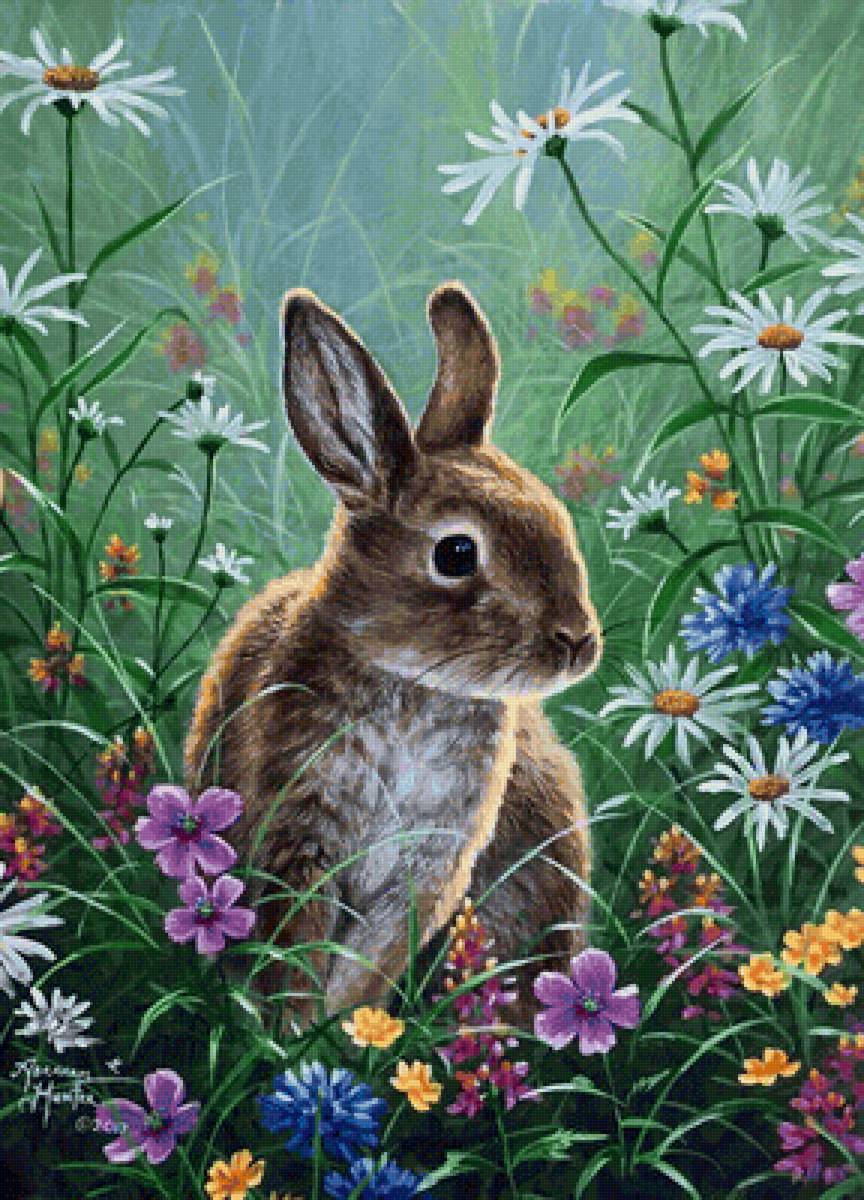 №2141886 - зайка - предпросмотр